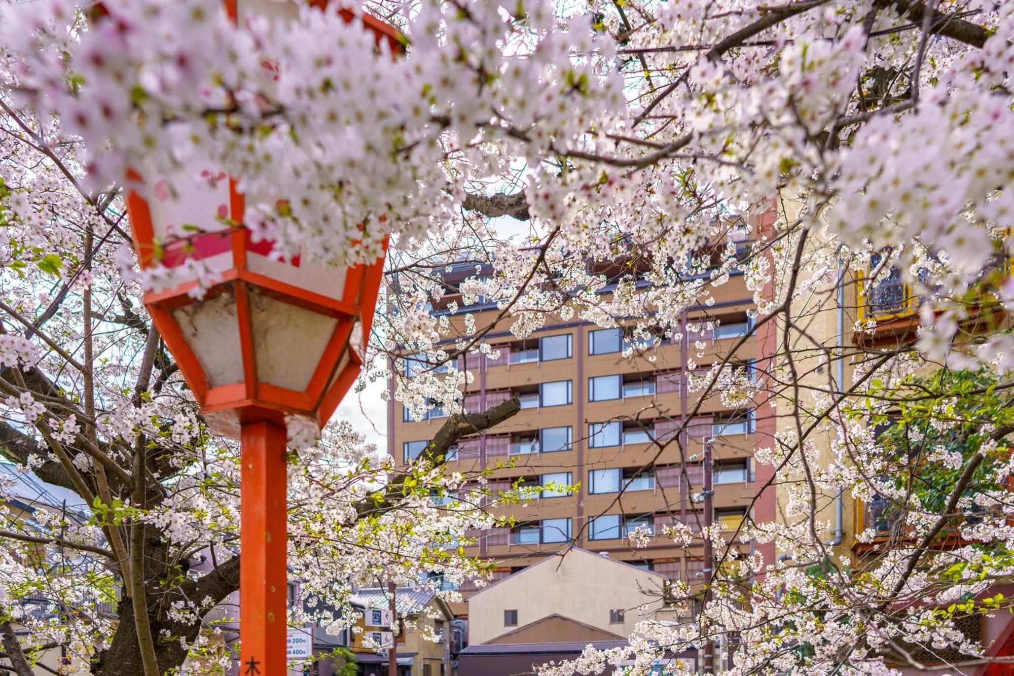 Sora Niwa Terrace 酒店 京都
